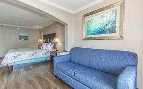 Ocean View King Suite With Modern Decor And Accents - Caravelle Resort 605 Sleeps 4 Guests